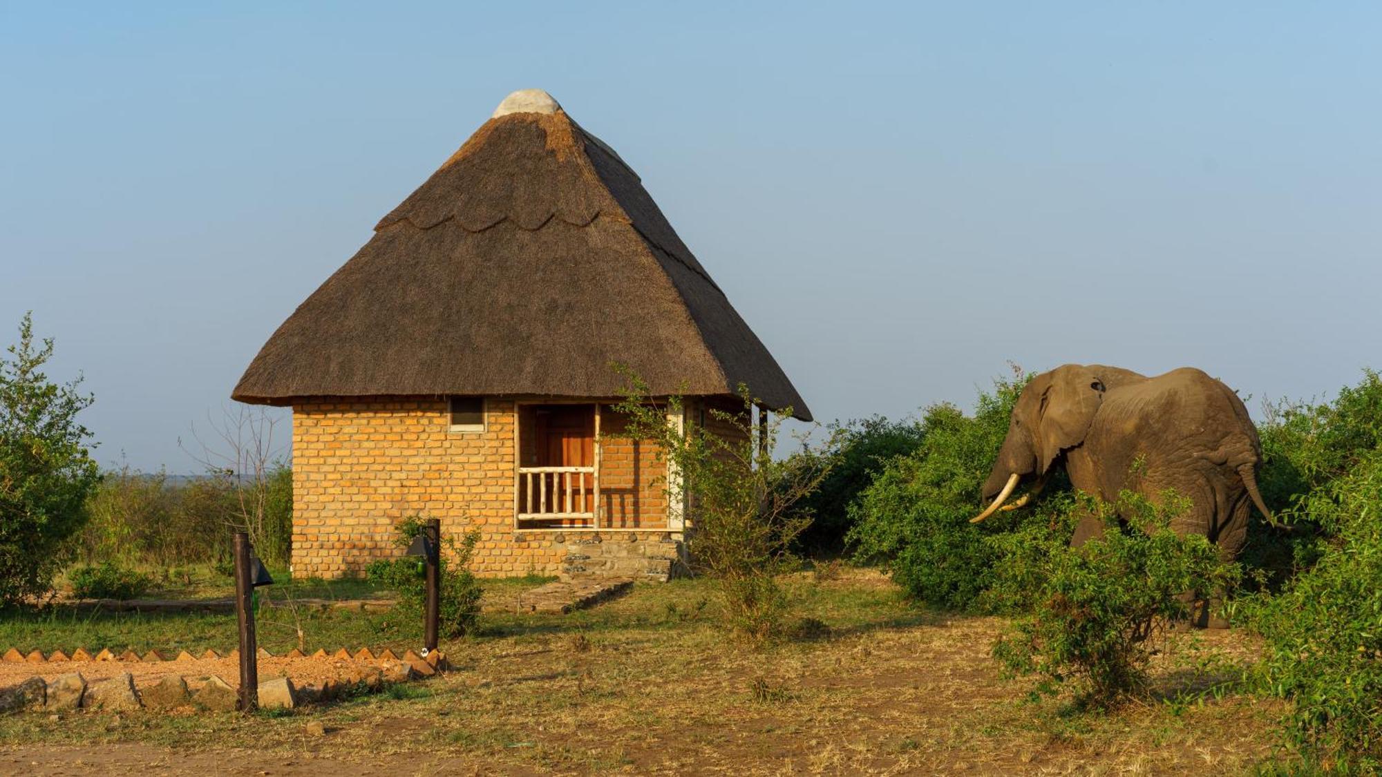 Tabingi Safari Cottages Katunguru エクステリア 写真