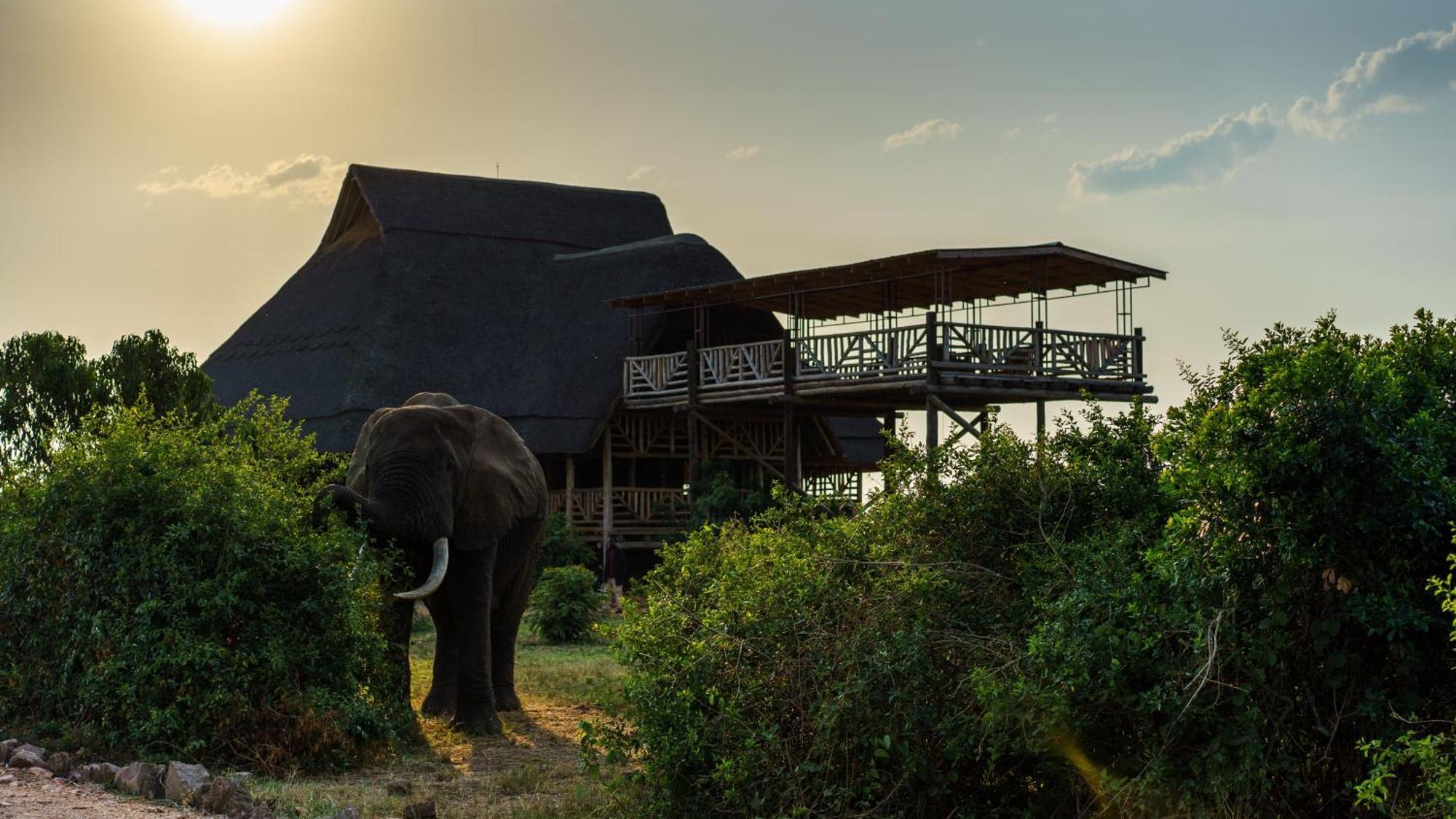 Tabingi Safari Cottages Katunguru エクステリア 写真