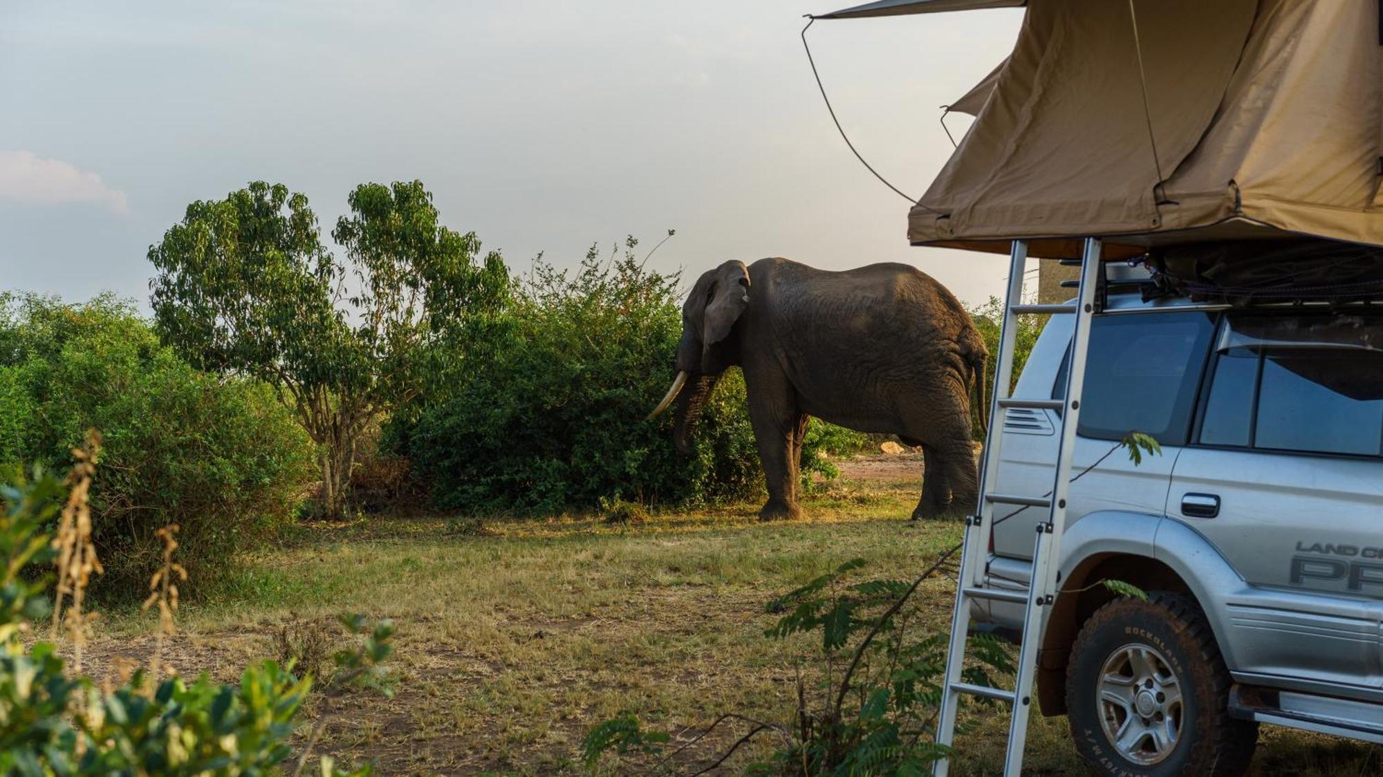 Tabingi Safari Cottages Katunguru エクステリア 写真