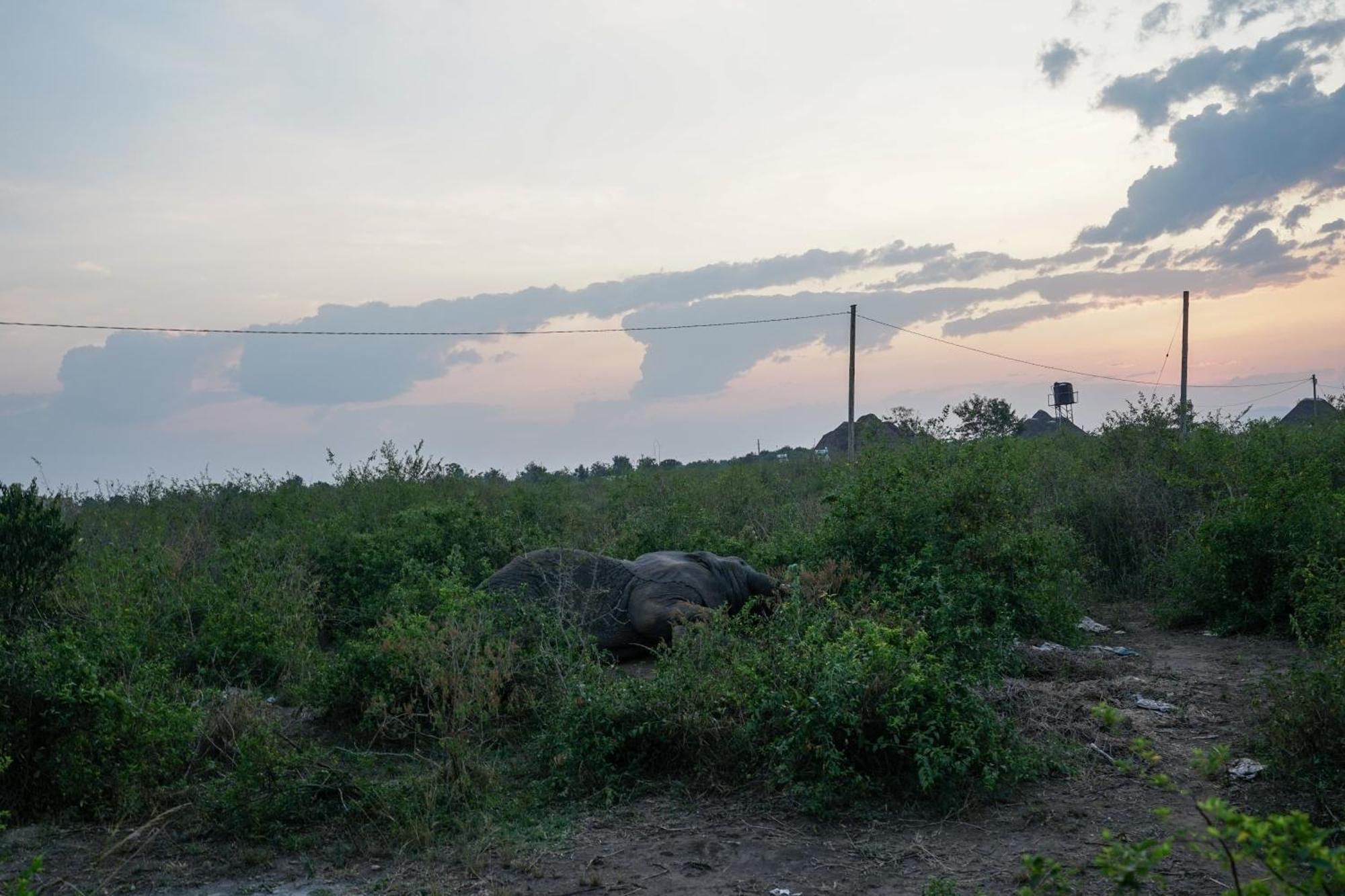 Tabingi Safari Cottages Katunguru エクステリア 写真